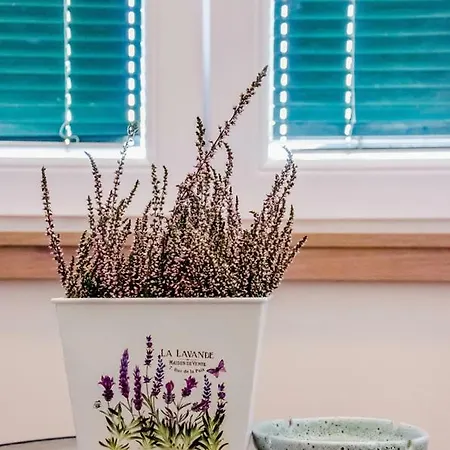 Appartamento Kalemary's